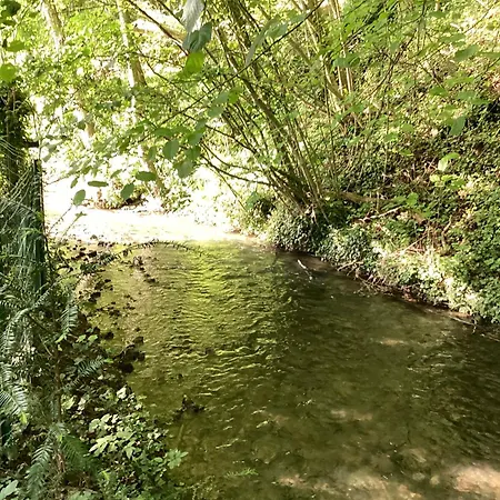 Dom wakacyjny Maison Campagne Riviere Foret *