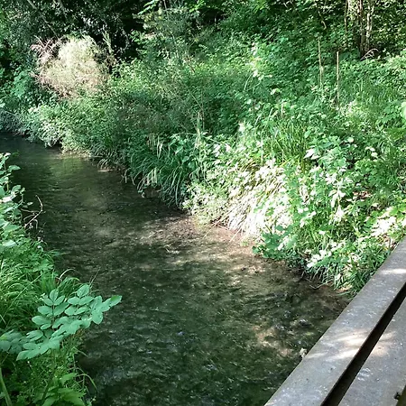 Maison Campagne Riviere Foret *