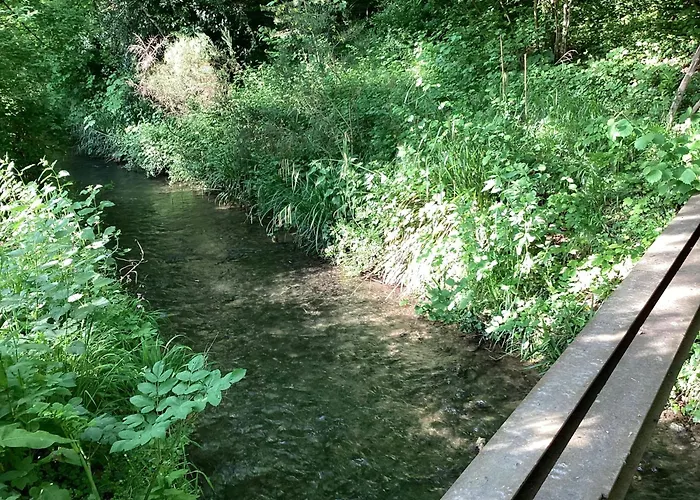 Maison Campagne Rivière Forêt *