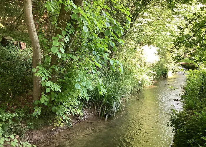 Maison Campagne Rivière Forêt Hébergement de vacances